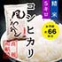 コシヒカリ5㎏(ギフト袋)小画像