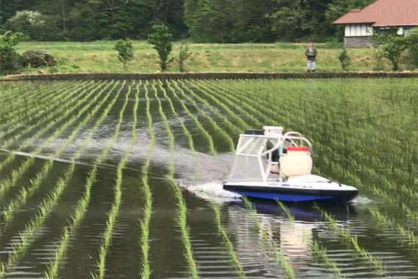 ラジコンボートで除草剤を散布する画像