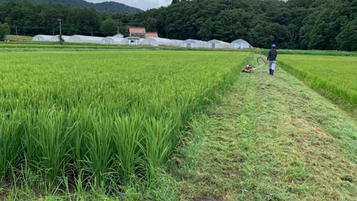 草刈り画像